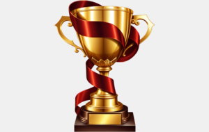 Nos champions 2024-2025
