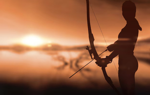 Le club des archers du Muy et le domaine des Canebières