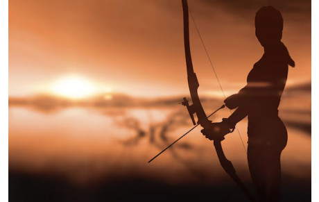 Le club des archers du Muy et le domaine des Canebières