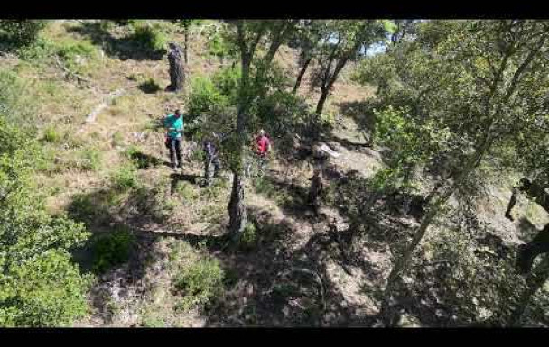 Parcours des Canebières